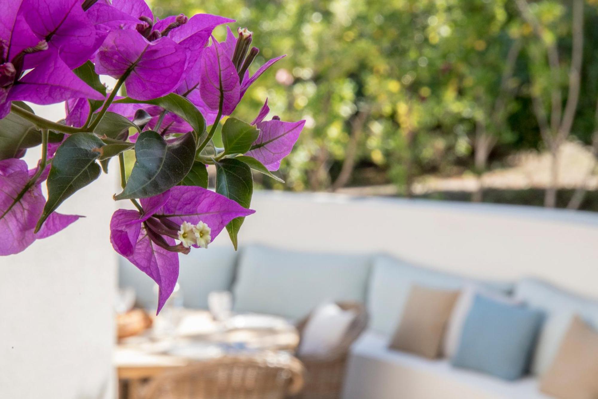 Boutique Hotel Chateau Rouher Propriano  Ngoại thất bức ảnh